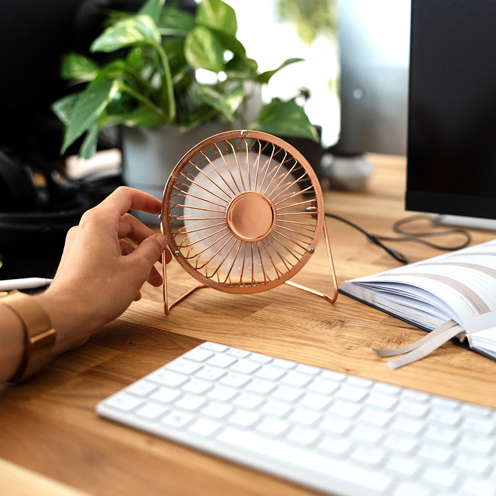 Ventilatore da Tavolo Rosé con USB