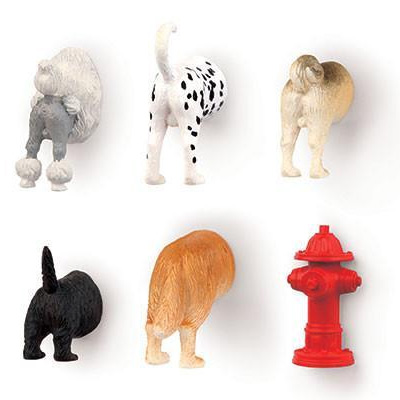Set di 6 Magneti da Frigo a forma di Culetto di Cane