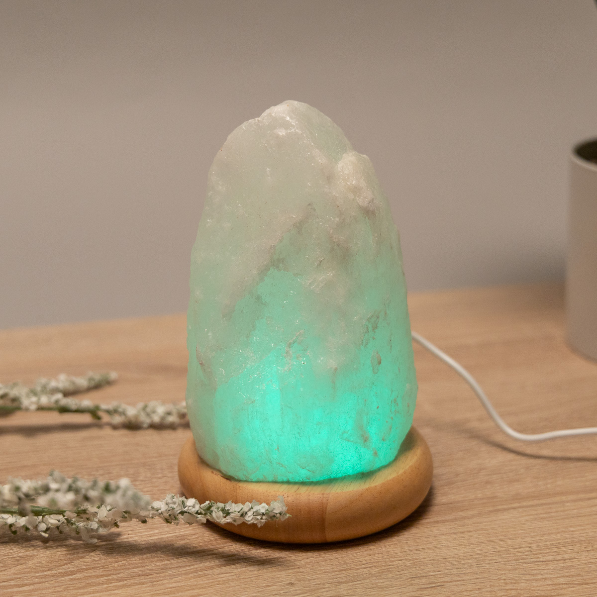 Lampada di Sale dell'Himalaya con USB