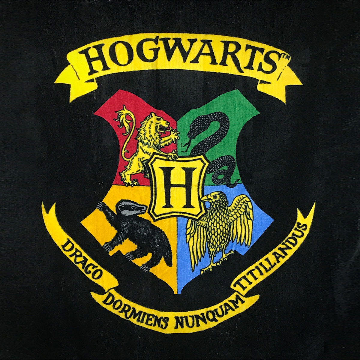 Asciugamano Hogwarts Harry Potter