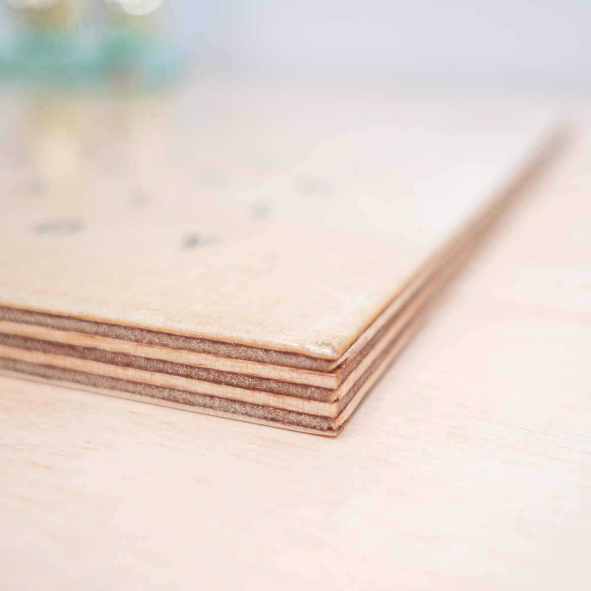 Stampa su Legno Trova la Parola