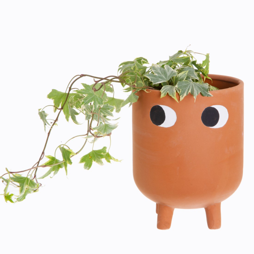 Vaso da Fiori in Terracotta Leggy
