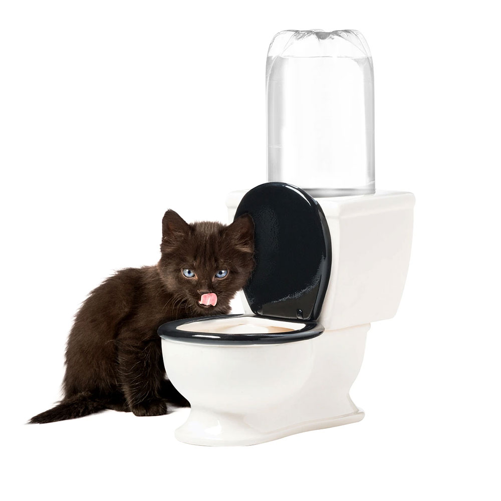 Water per Bere per Animali Domestici