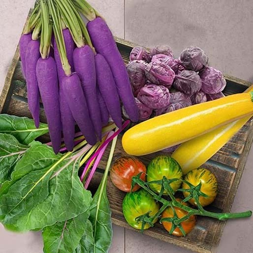 Kit per Verdure Arcobaleno