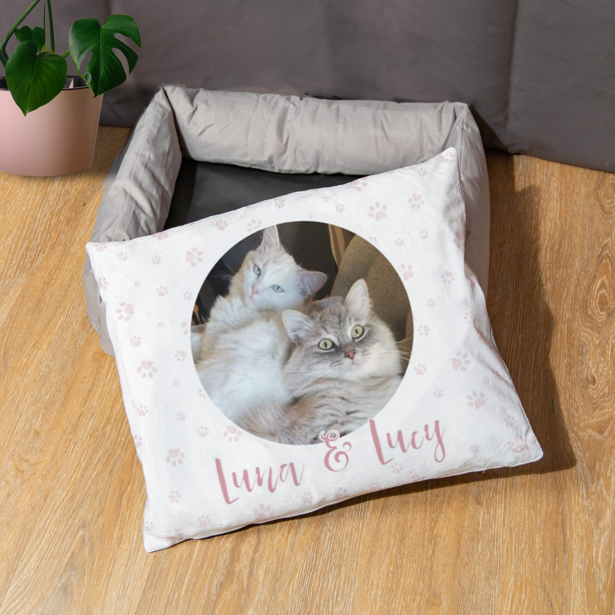 Cuccia per Cani con Foto e Testo
