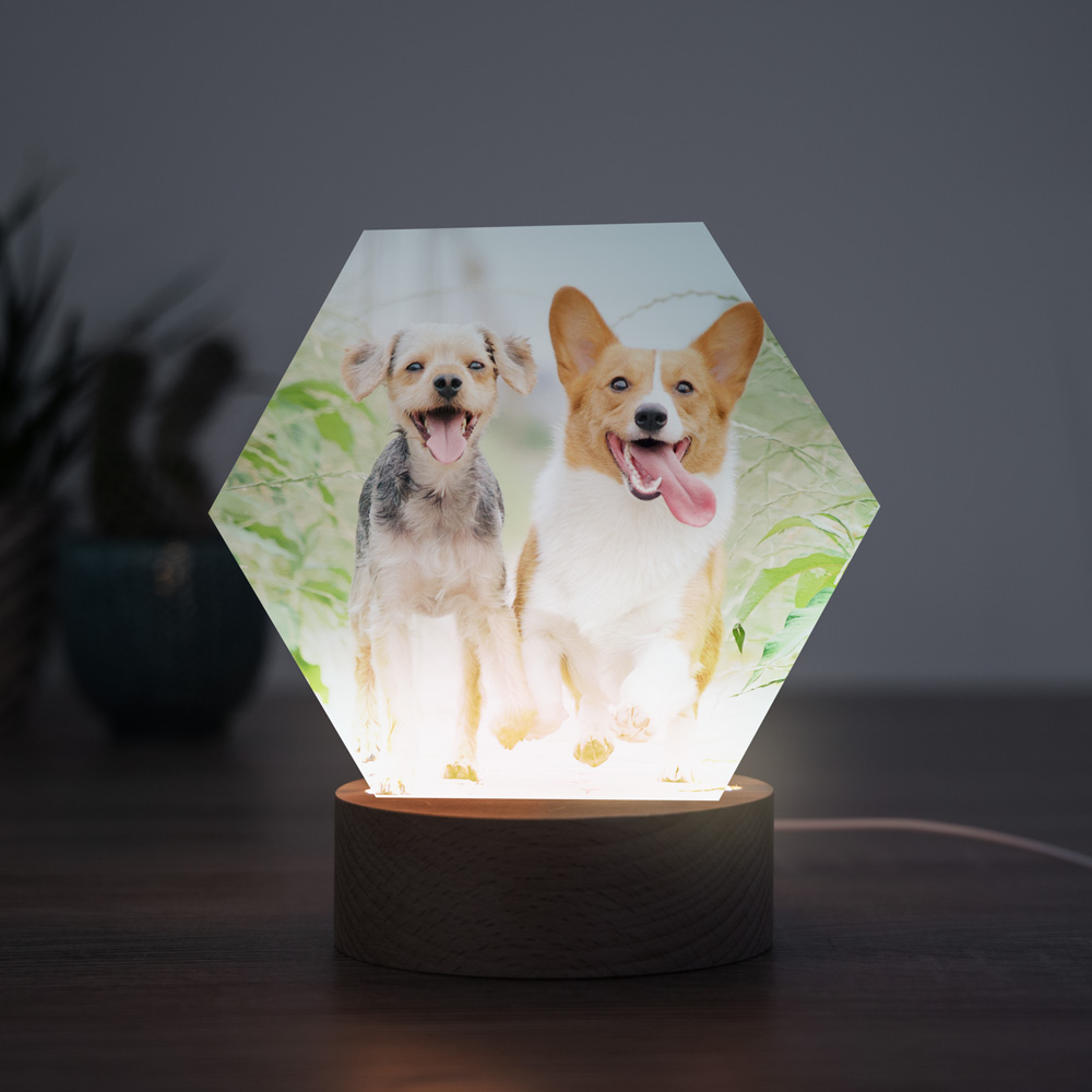 Lampada LED Personalizzata con Foto regali per amanti degli animali lampada led personalizzabile con foto