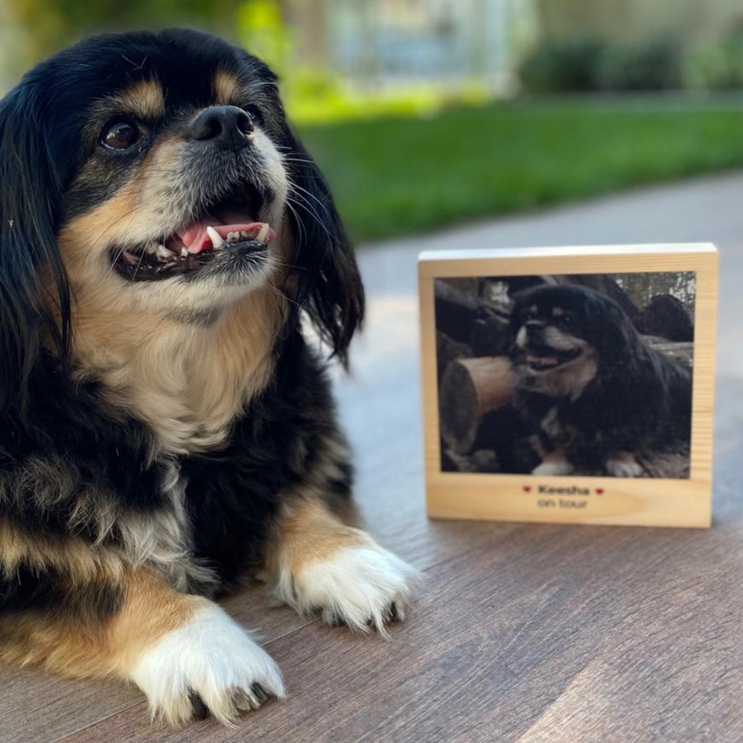 regali per amanti degli animali quadro in legno quadrato con foto e testo regali per amanti degli animali quadro in legno quadrato con foto e testo