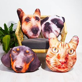 Amante degli animali