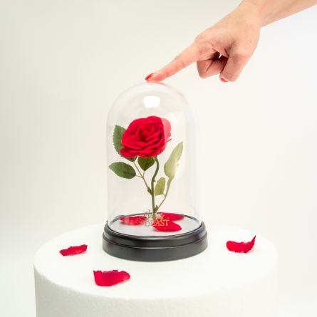 La Bella e La Bestia: Lampada Rosa Incantata