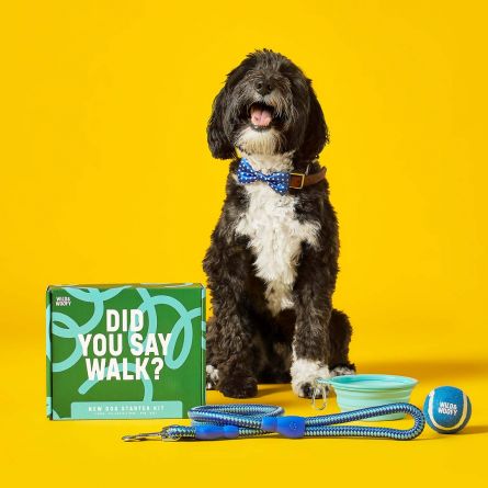 Kit di Base per Cani