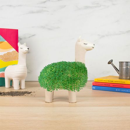Il Lama Vegetale