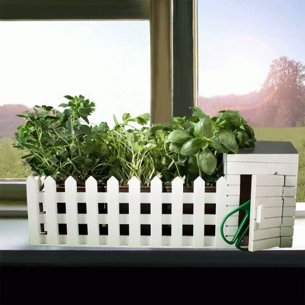 Mini Giardino Da interni Con Semi Assortiti