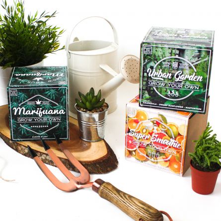 Set Giardino Urbano