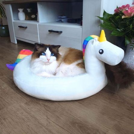Cuccetta Unicorno per Cani e Gatti