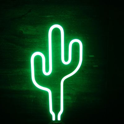 Regalo fratello - Lampada Neon Cactus
