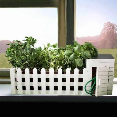 Mini Giardino Da interni Con Semi Assortiti
