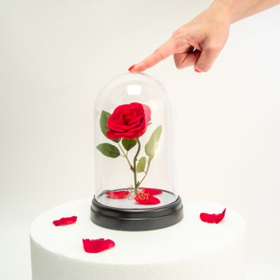 La Bella e La Bestia: Lampada Rosa Incantata La Bella e La Bestia: Lampada Rosa Incantata