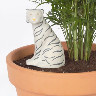 Annaffiatoio Tigre per Piante da Appartamento Annaffiatoio Tigre per Piante da Appartamento